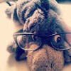bella_wellaaaaa
